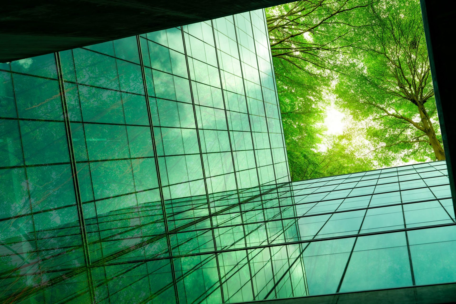 close up of a glass building looking up through the trees